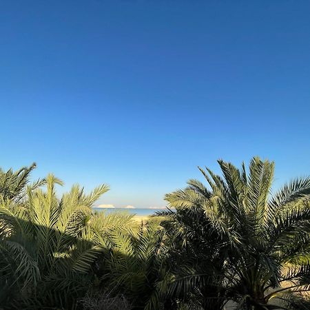 Hotel The Nest Siwa Oasis Exteriér fotografie