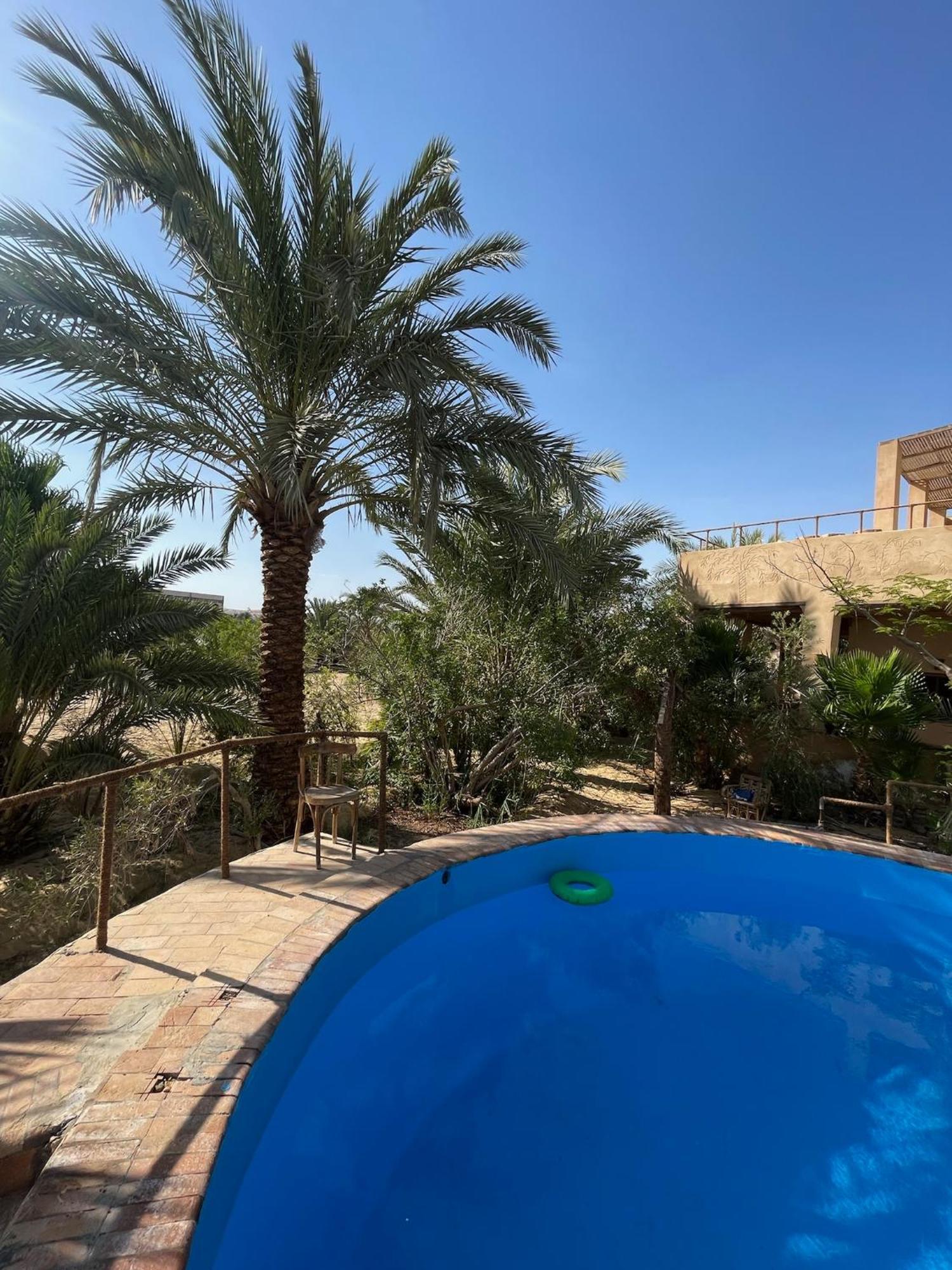 Hotel The Nest Siwa Oasis Exteriér fotografie
