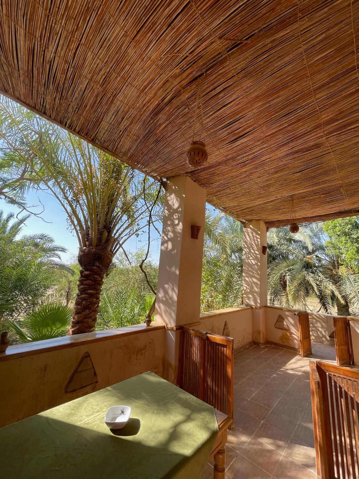 Hotel The Nest Siwa Oasis Exteriér fotografie