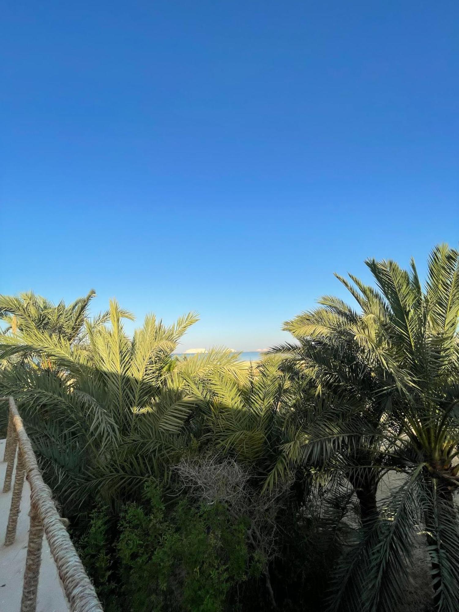 Hotel The Nest Siwa Oasis Exteriér fotografie