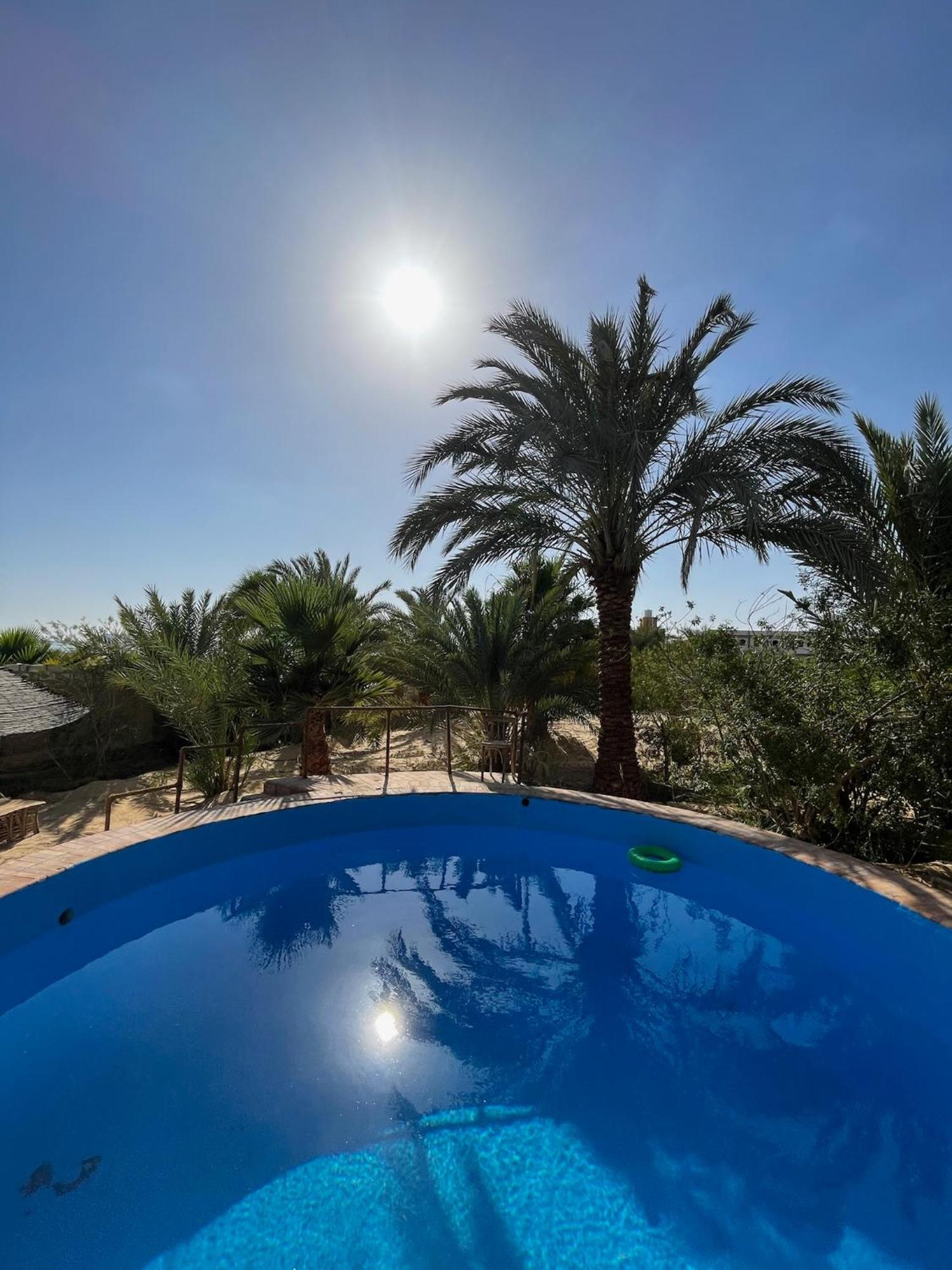 Hotel The Nest Siwa Oasis Exteriér fotografie